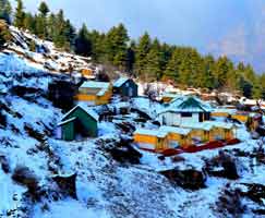 Auli Tour Package