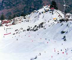 Auli Honeymoon