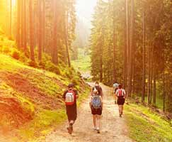 Kasauli Holiday Package